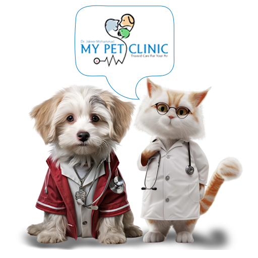 my pet clinic in vizag & my pet clinic in vizag